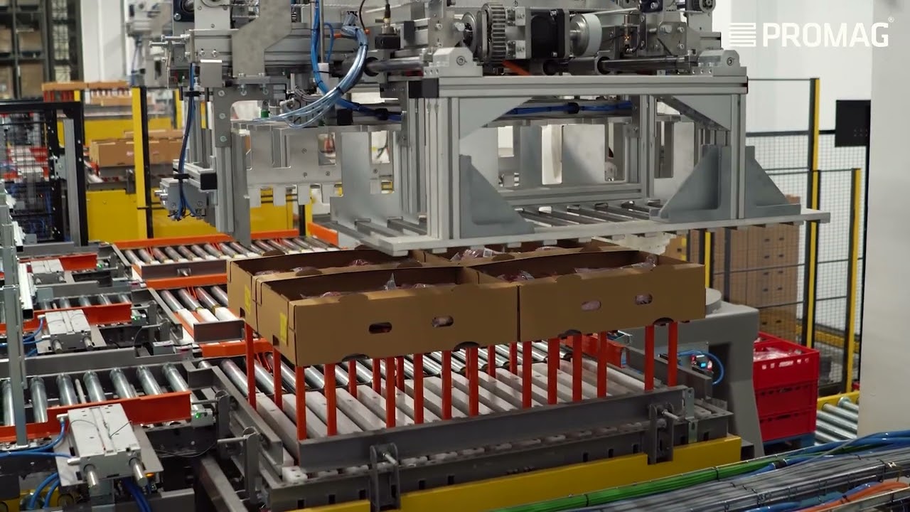 Automation of transport , palletization and storage processes At INDROL Sp. z o.o. Sp. k. by PROMAG
