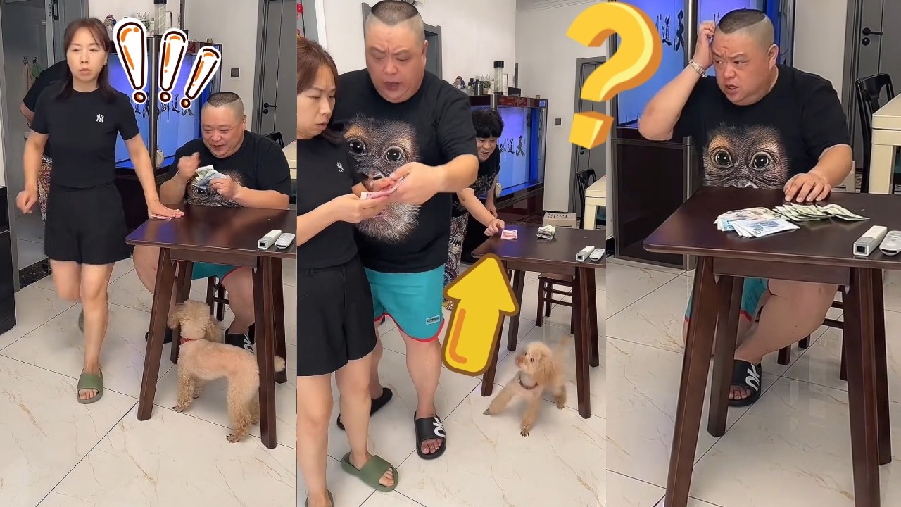 钱明明被媳妇拿走，却还留在原地，是我眼花了吗【朱大帅and依美姐】