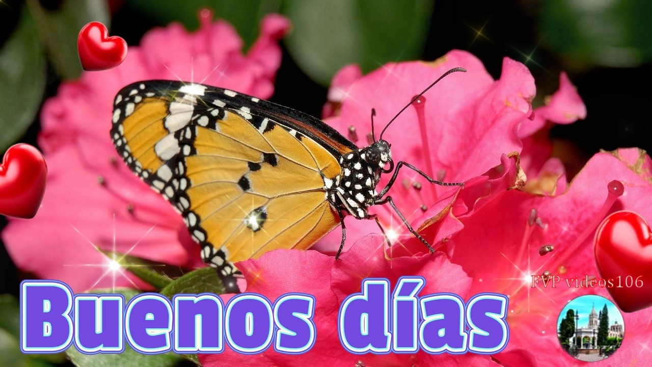 Buenos días que tengas un lindo y hermoso día