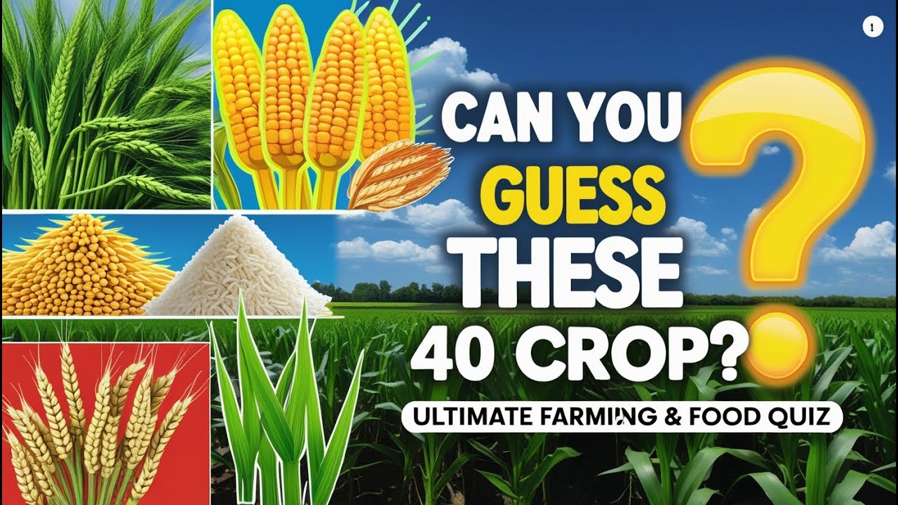 &ldquo;Can You Guess These 40 Crops? 🌾 | Ultimate Farming & Food Quiz&rdquo;