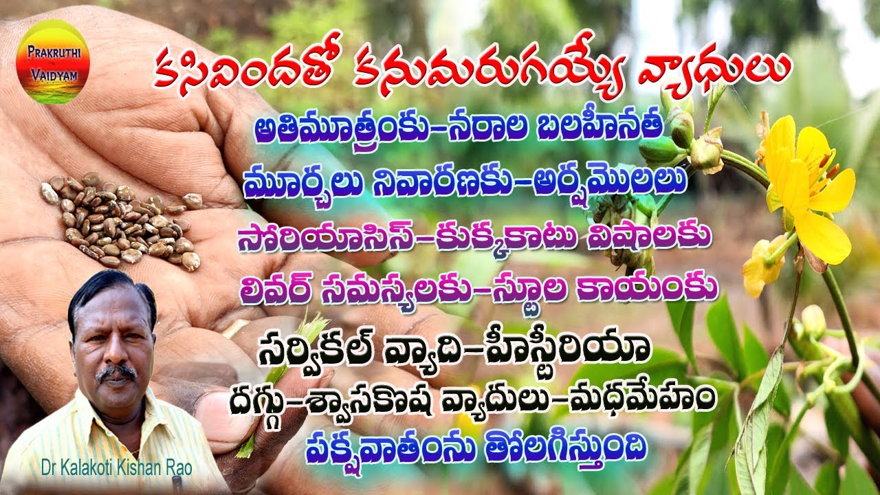 కసివింద(చెన్నంగి )తో కనుమరుగయ్యే వ్యాధులు||Health Benefits of Chennangi Plant