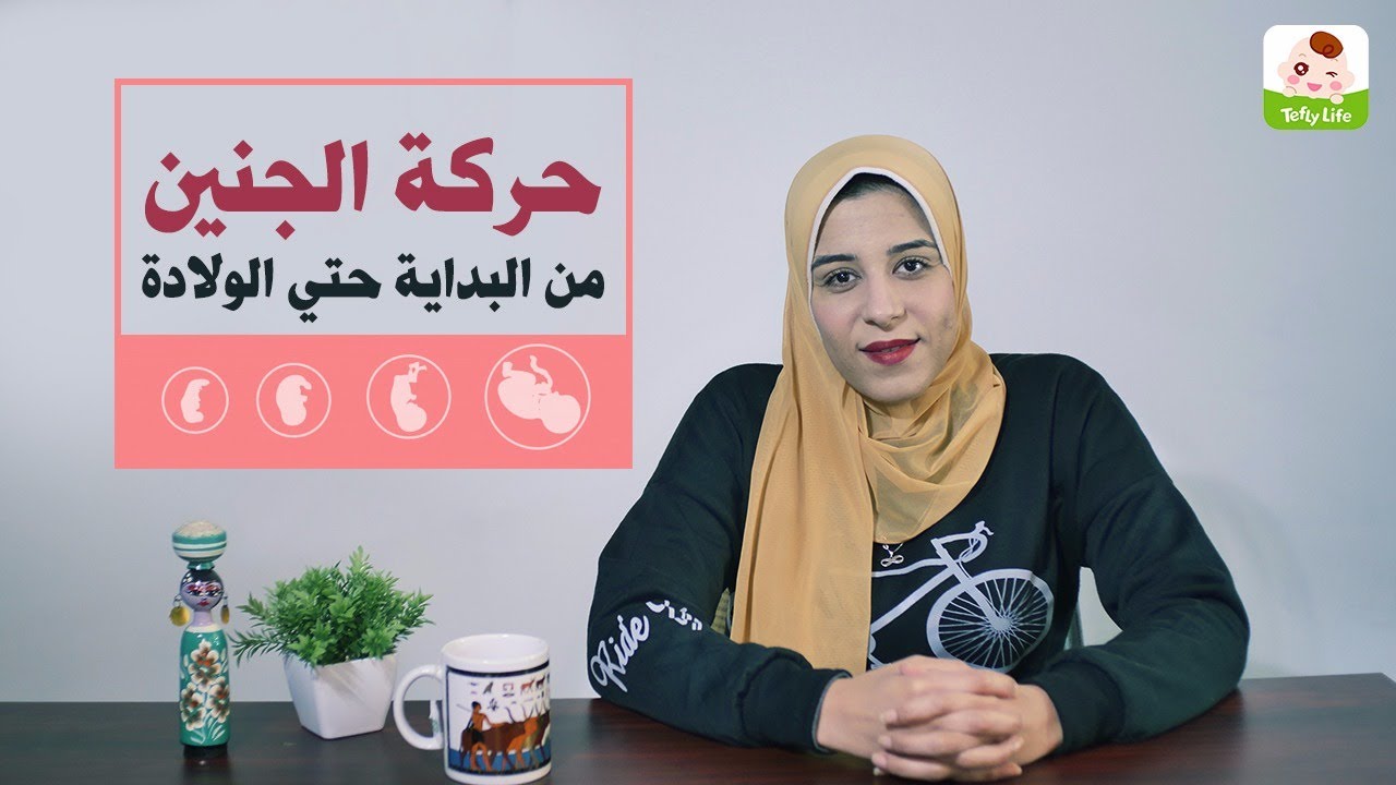 حركة الجنين من البداية للولادة في 
