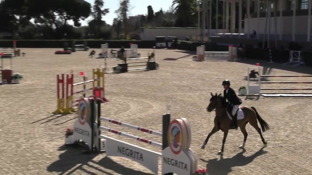 THELMA TER DOORN Z (Toulon / Sir Lui) - 2019 Mare - February 2026 - CSN Barcelona 1