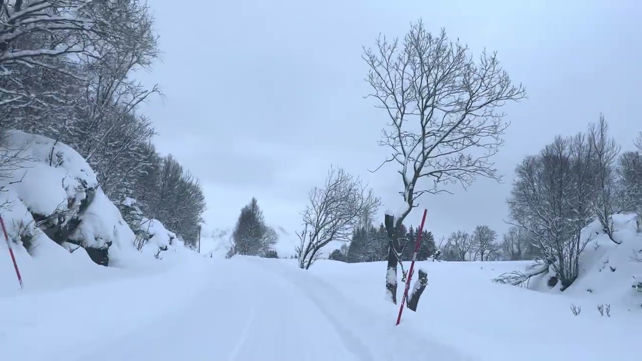 Winter Drive Through Northern Norway ❄️ Snow Covered Arctic Roads #winterdrive #northernnorway 