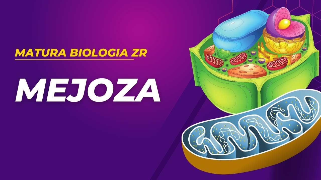 Mejoza. MATURA BIOLOGIA ZR