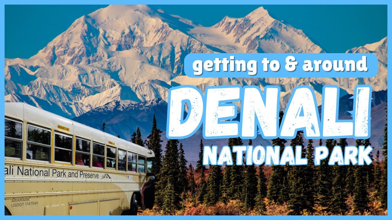 Getting around Denali National Park