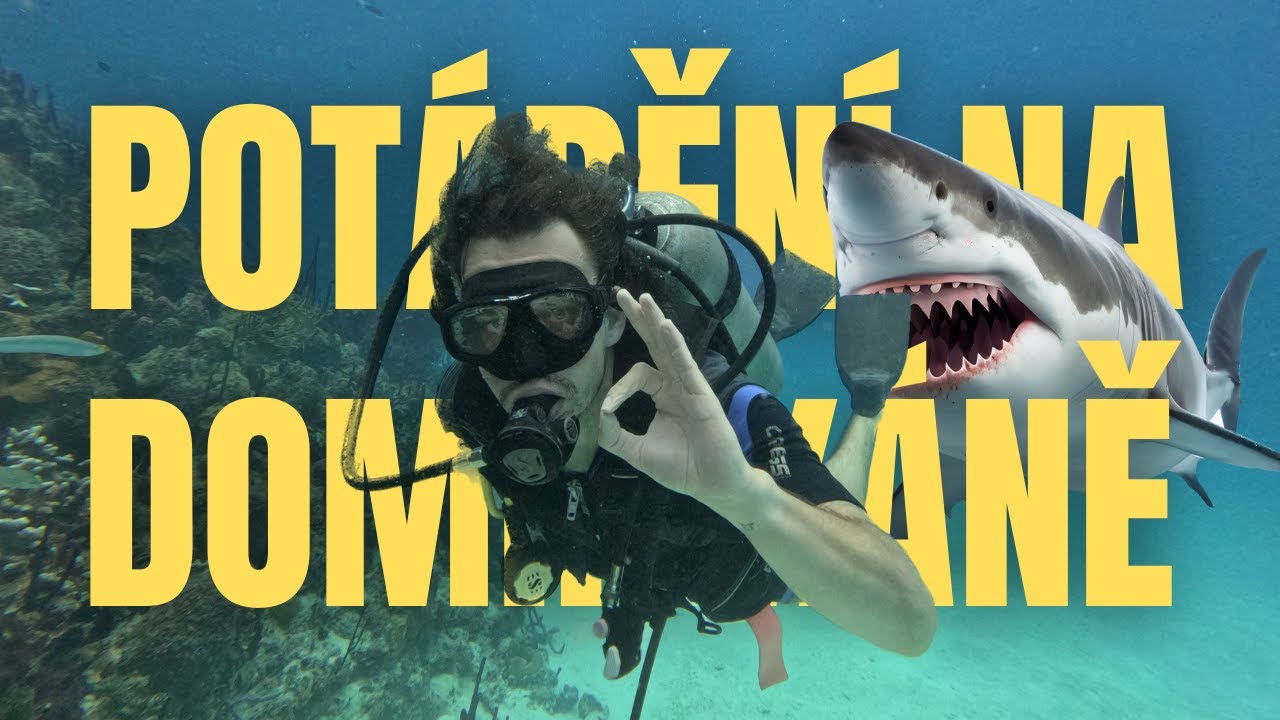 Potápění v Dominikánské Republice! Je to ten nejlepší zážitek?
