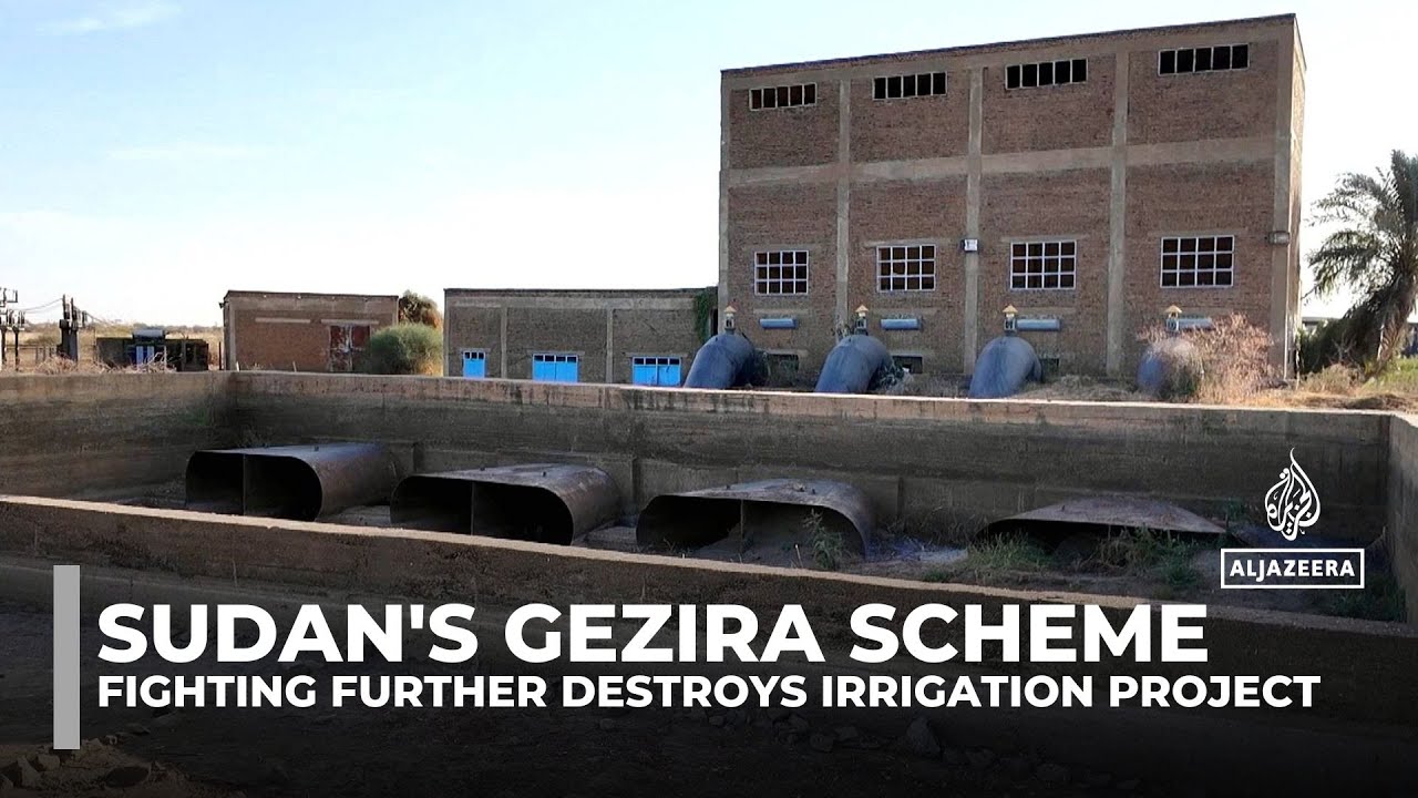 Sudan’s Gezira scheme: Once thriving, now crippled by mismanagement, neglect and conflict