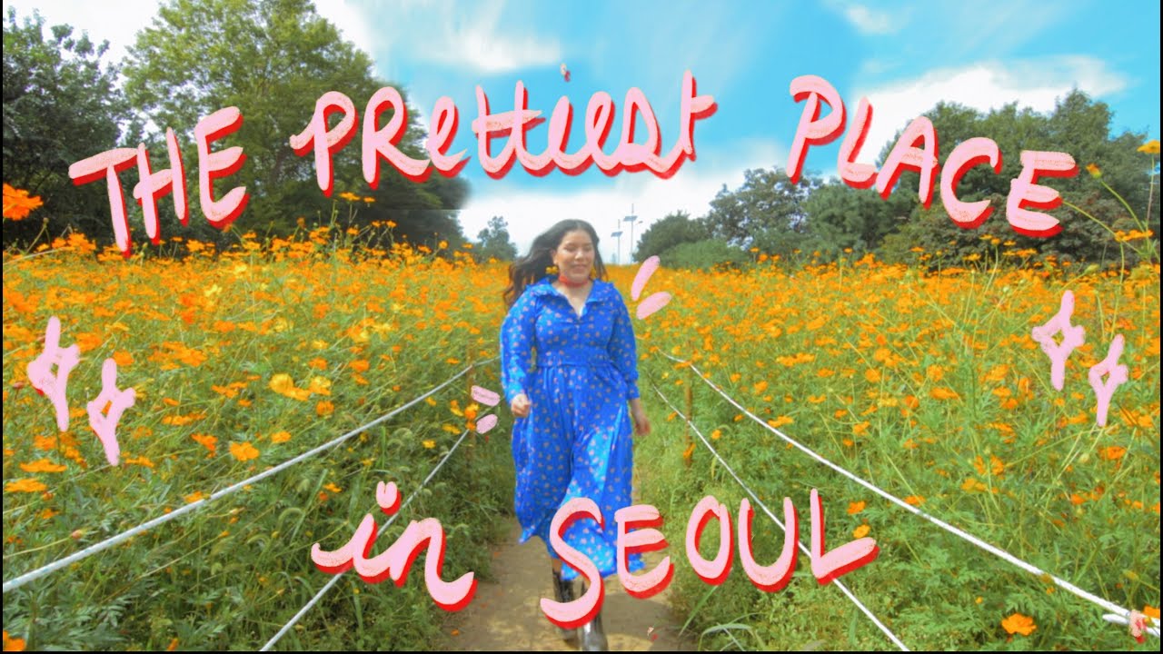 A Day in Seoul, Korea | Fall is finally here? 🍁 Life in Korea VLOG