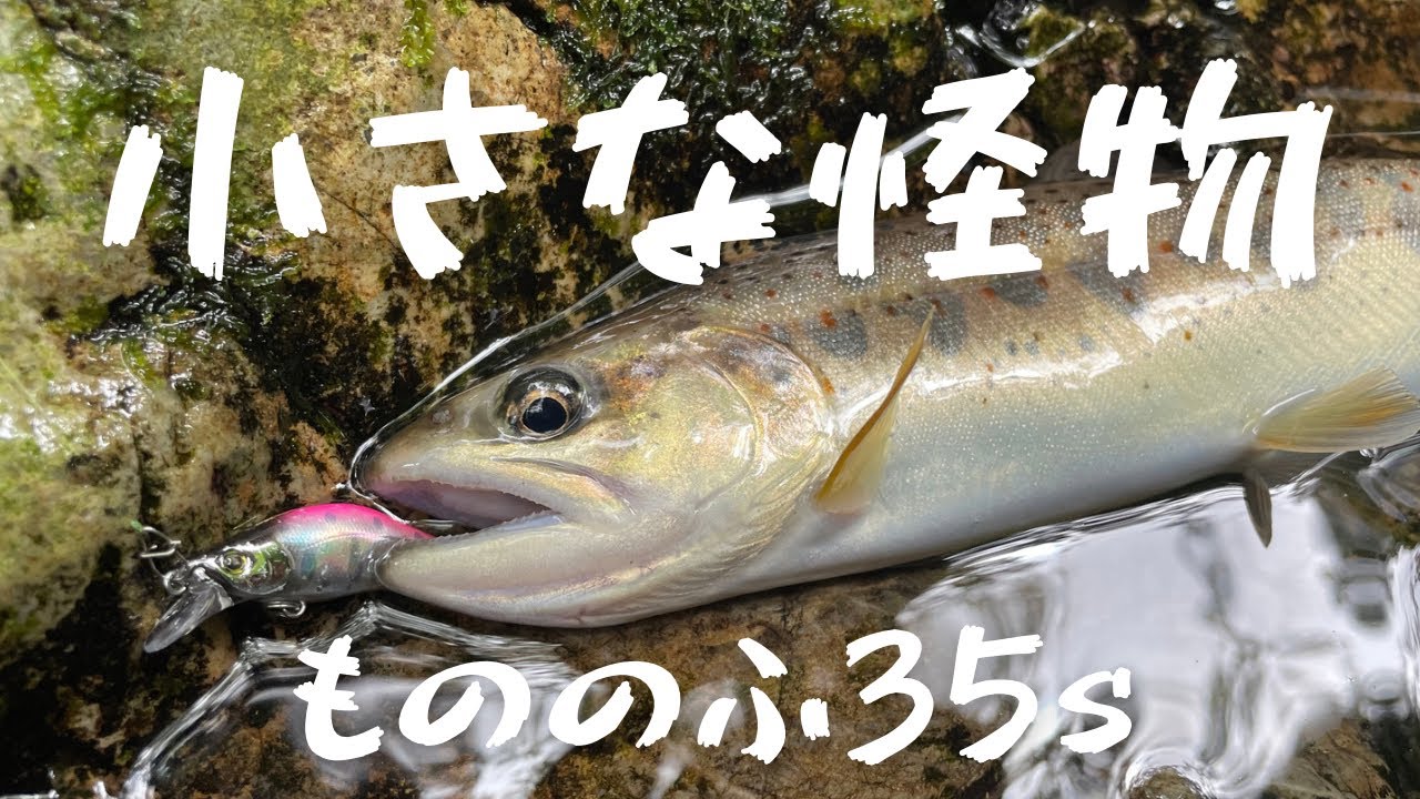 【渓流ルアー】釣れ過ぎるもののふ35sと釣り過ぎるおっさん37。（続編）