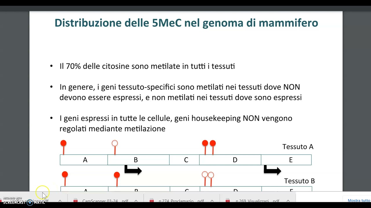modificazioni epigenetiche