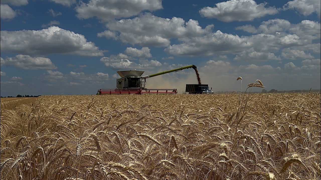Привезли на демонстрацію комбайн CLAAS Lexion 8800 Terra