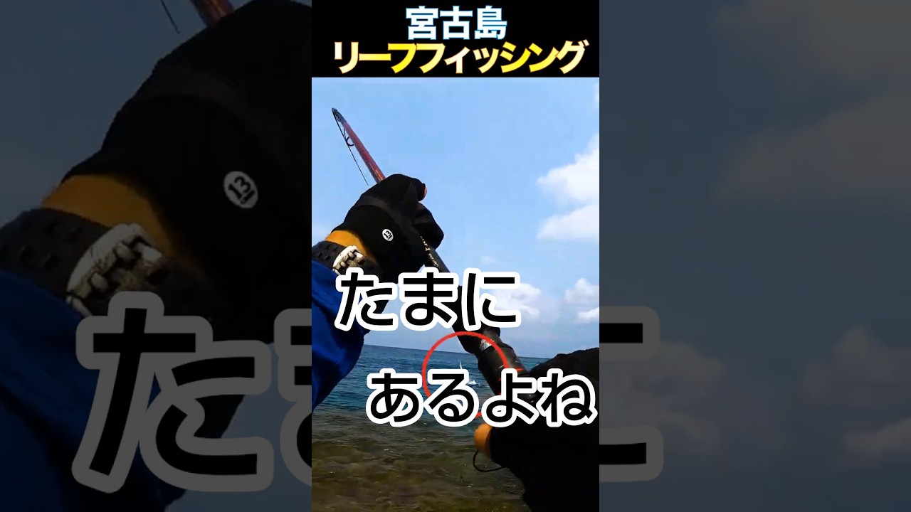 たまにあるよね...#釣り #fishing #リーフフィッシング #宮古島