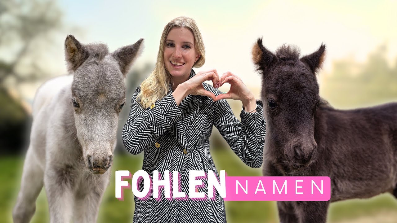 Wie heißen meine FOHLEN? 😍 Ich verrate es euch!