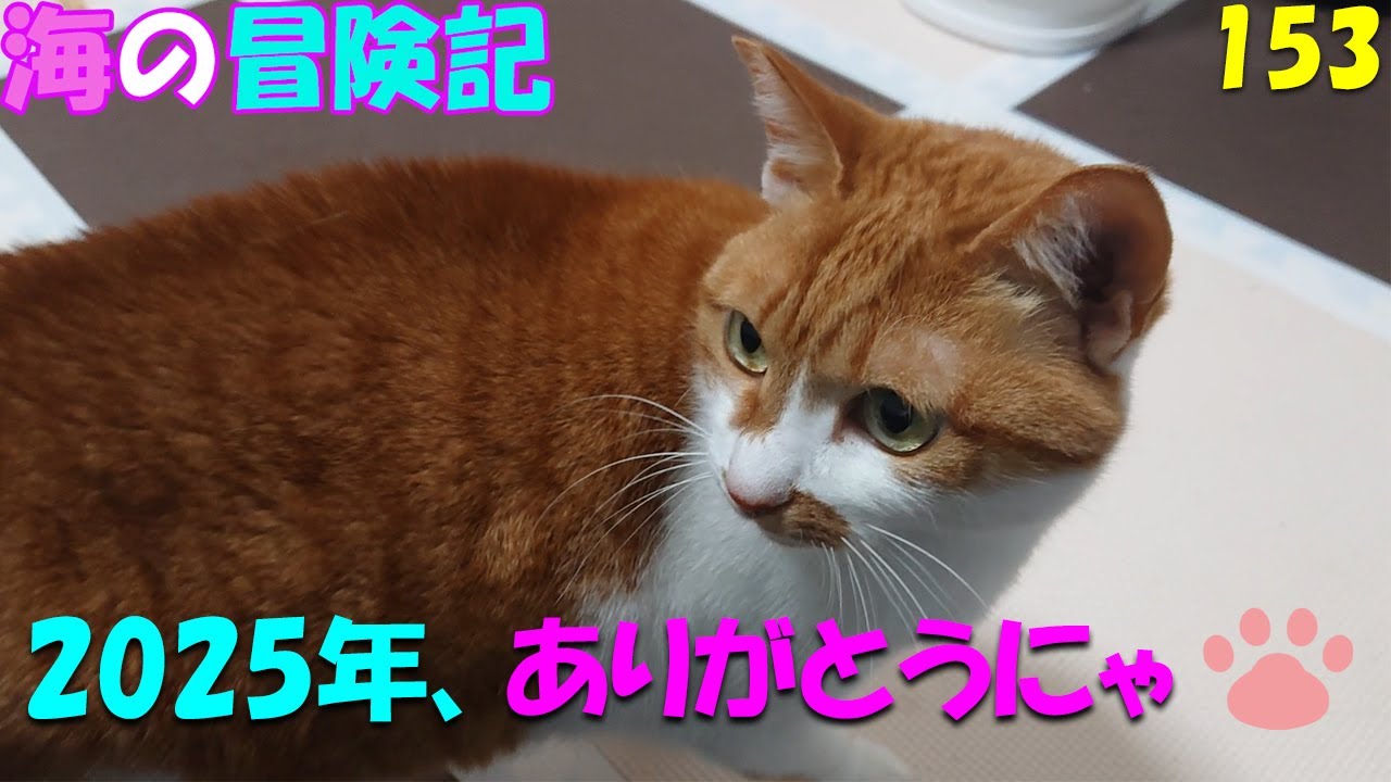153　2025年ありがとうにゃ