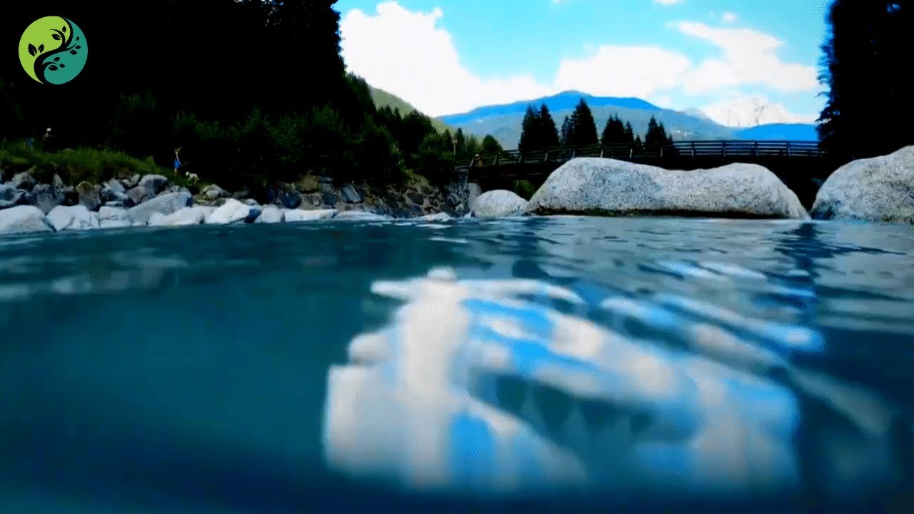 Relaxing Music with Nature for Sleep Fast - Blissfulness