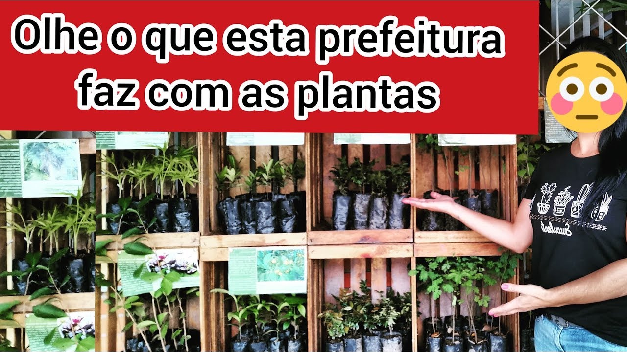 Olhe o que eles fazem com as plantas! Isso é demais!