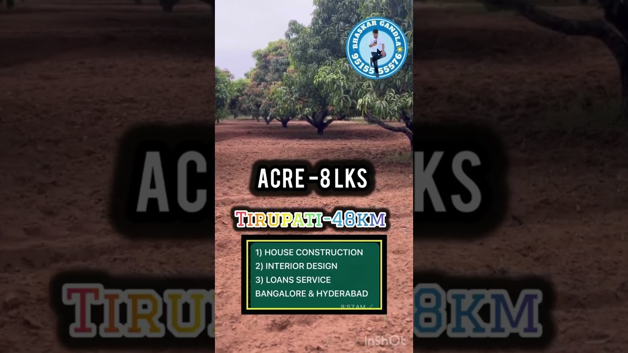 100 Acres🥭 mango graden sale || Acre- 8 lakhs only || tirupati- 48 km