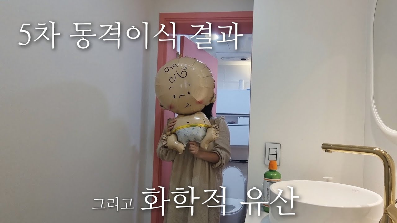 vlog : 5차 동결이식 결과, 1차 피검 결과, 화학적 유산, 태몽,  2차 피검 결과, 임테기 결과, 난임일기, 시험관브이로그