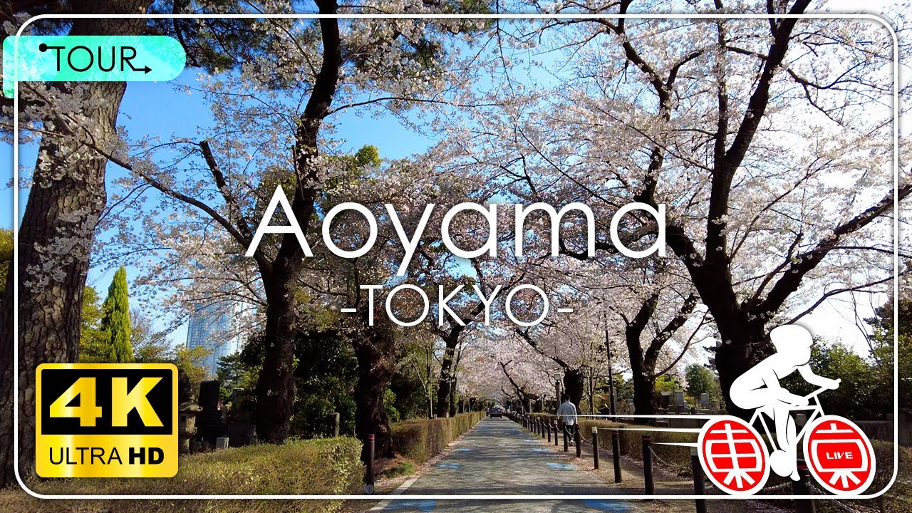 [TOUR] 新宿→青山→六本木→東京タワー 東京サイクリングカメラ[4K] 2023春 午後