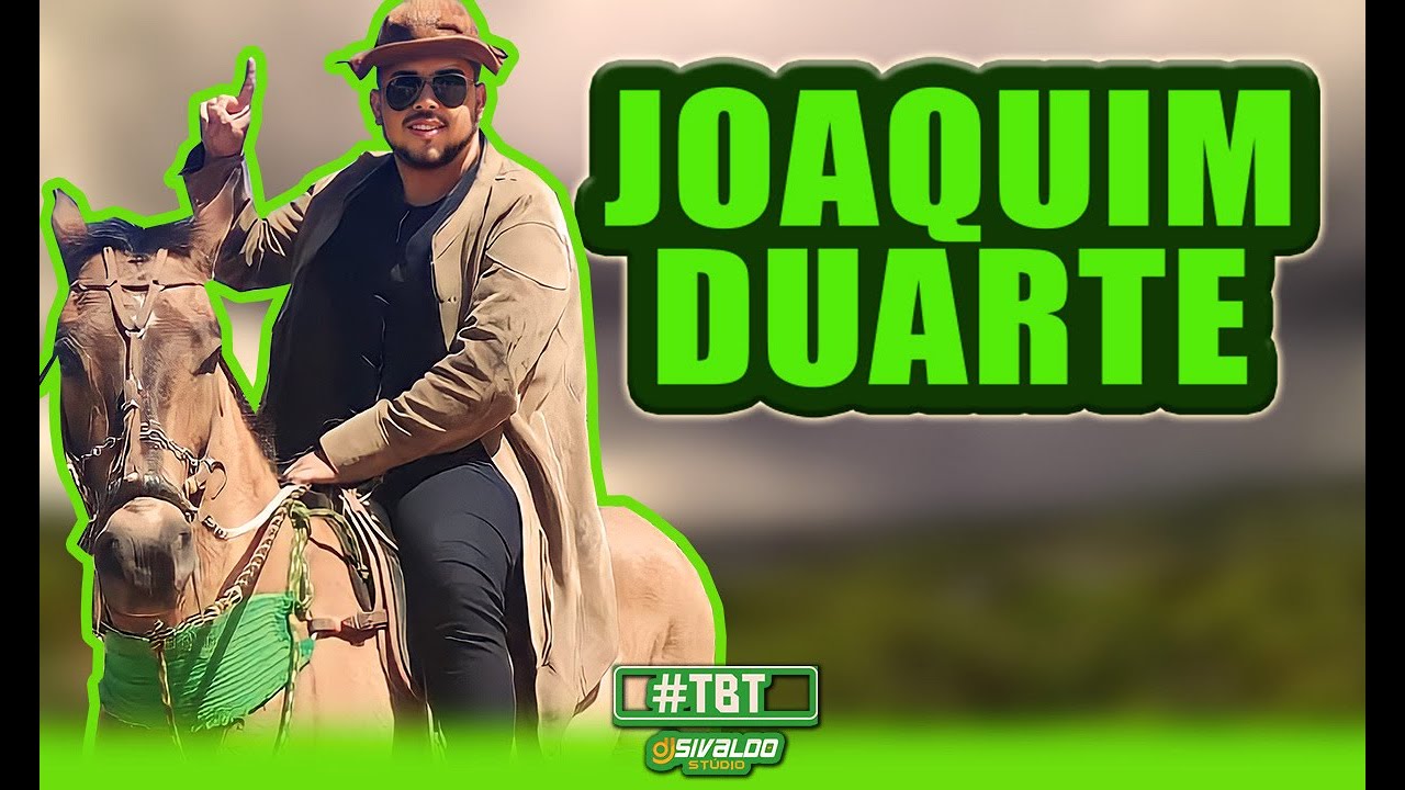 JOAQUIM DUARTE - NOVILHA
