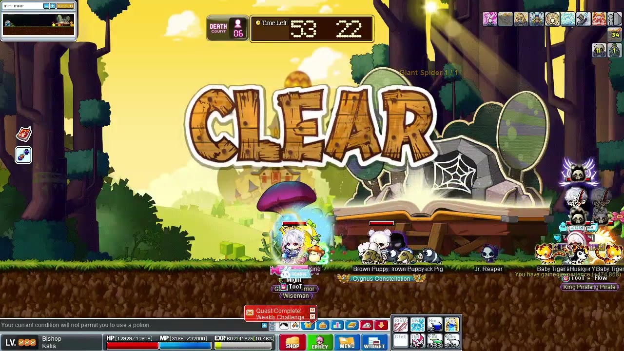 [Dream MS] - Tower of OZ 30 Floors (Bishop Gameplay)