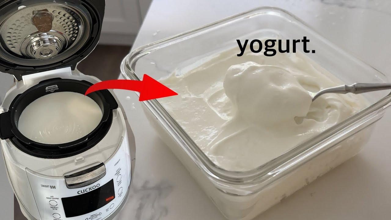 EASIEST YOGURT RECIPE using a Rice Cooker?!