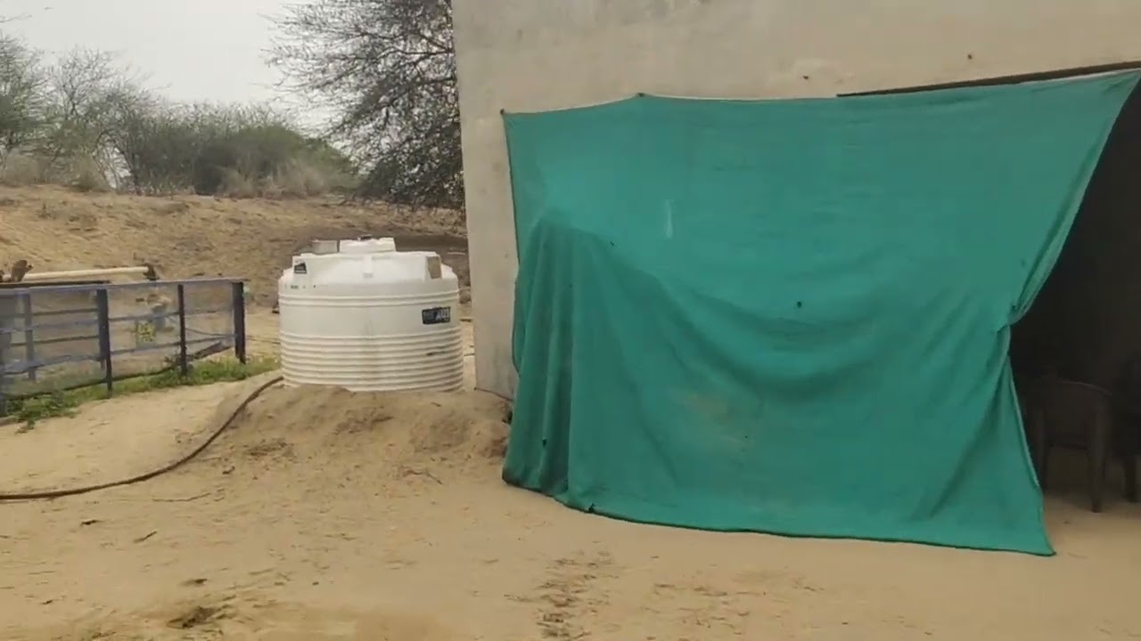 50 बीघा ओपन रजिस्ट्री की जमीन बिकाऊ है अर्जुन सर राजस्थान 8233206200