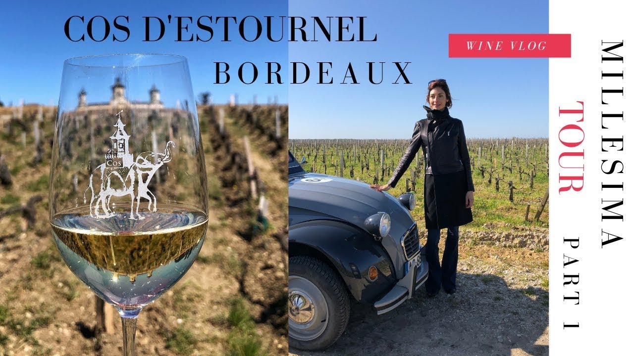 Bordeaux wine travel - Cos D'Estournel Chateau - VLOG PART 1