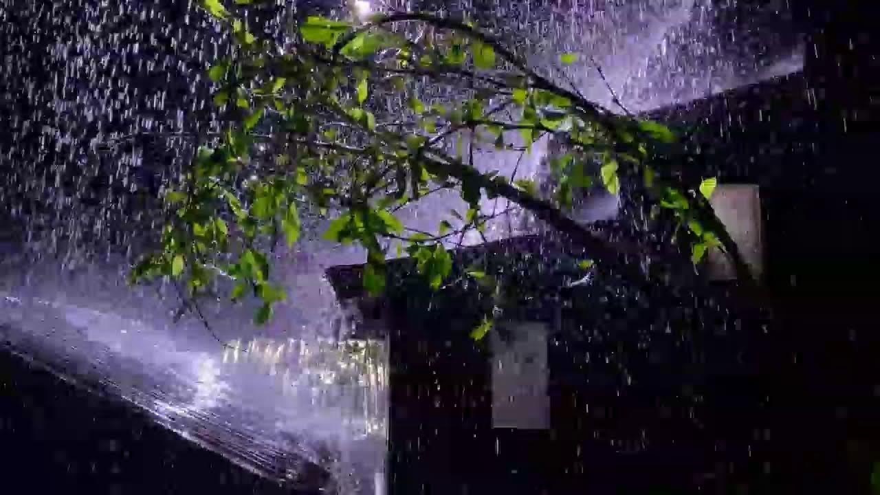 8 Hours Heavy Rain Sounds on Tin Roof for Sleeping