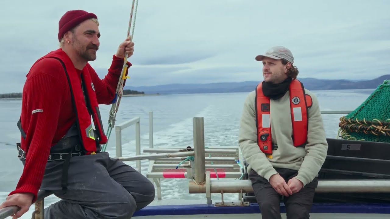 Tester les microalgues comme appâts pour la pêche aux crustacés