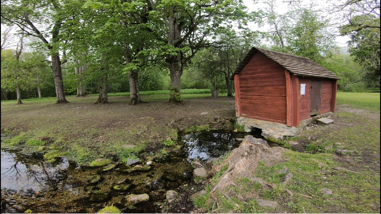 Сплав по речке Pedja, kayak trip in Estonia, day 1