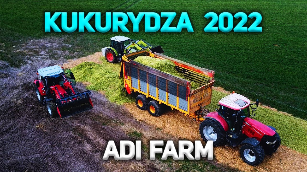 🌽 KUKURYDZA 2022 Rekordowe zbiory takich słabych jeszcze nie było