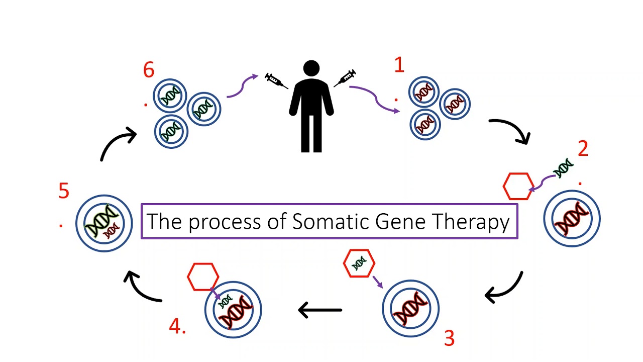 Somatic gene therapy