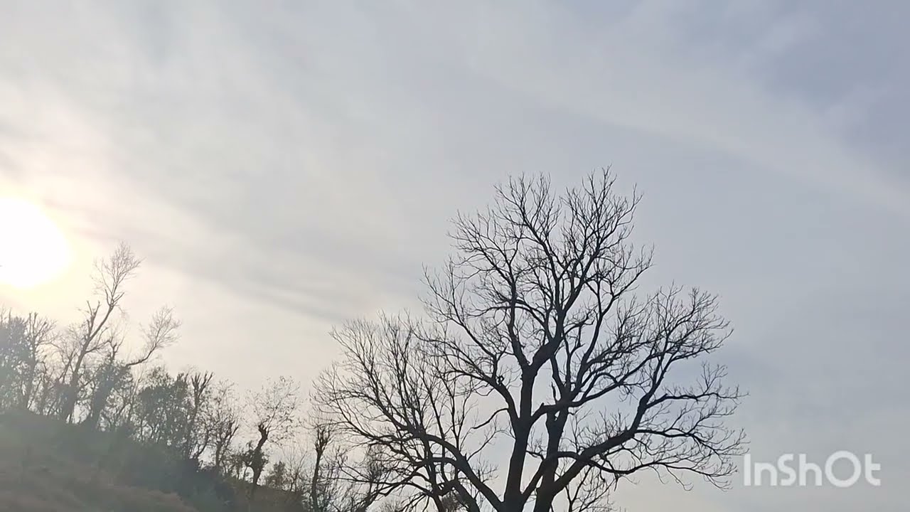 Beautiful Nature Scenery | Calm Your Mind & Soul