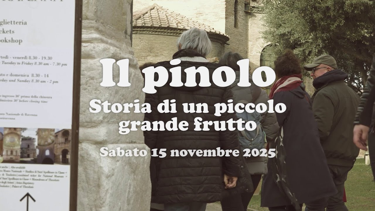 Il pinolo, storia di un piccolo grande frutto