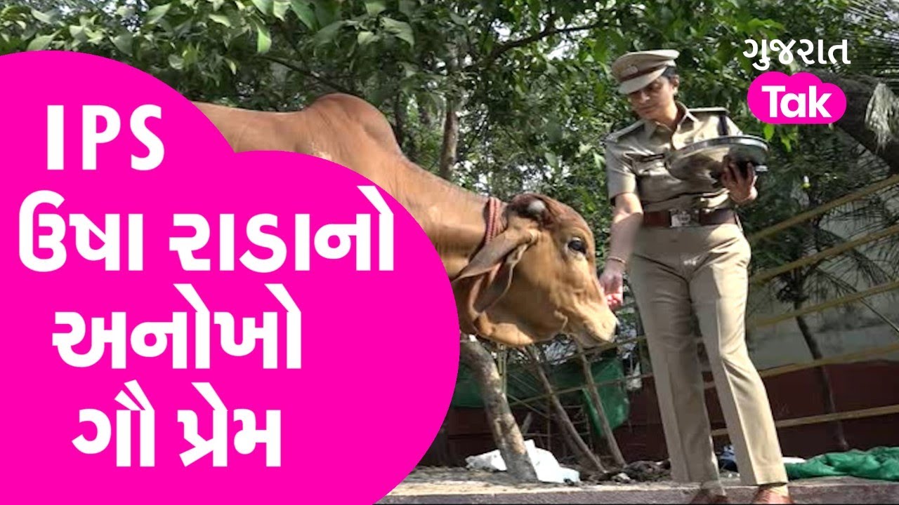 IPS Usha Radaનો અનોખો ગૌ પ્રેમ ઘરમાં ગાય માટે બનાવી ગૌશાળા | Surat | Police | Positive News | GT