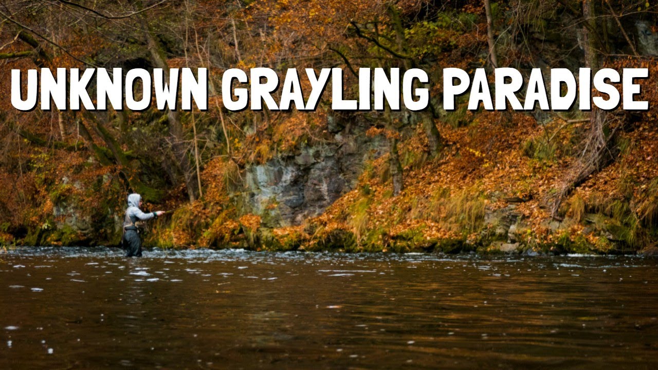 Chasing Big Grayling in unknown Territory | Ore Mountains Fly Fishing Trip pt.1