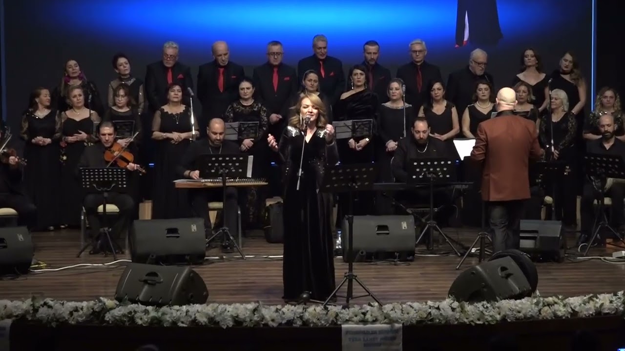 Dün Gece Aklımda Yine Sen Vardın... Aygül BOZASLAN 