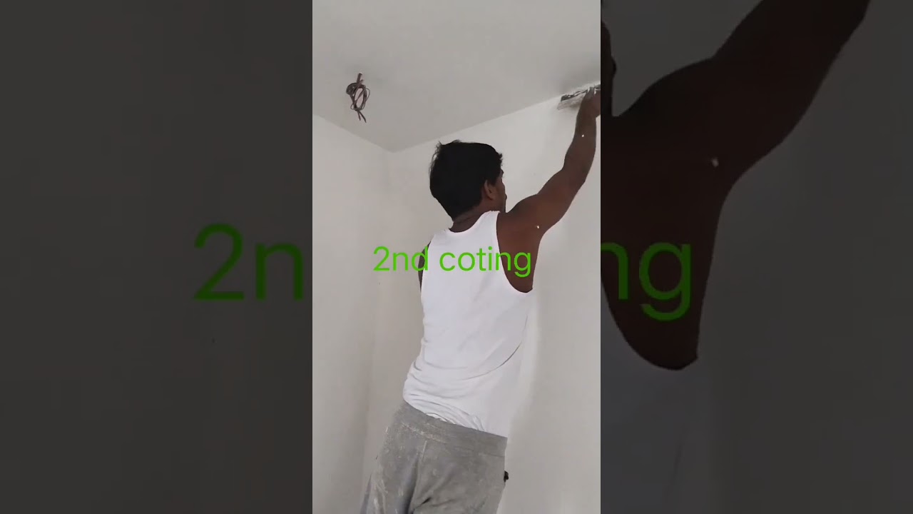 putty & pepar application in flat