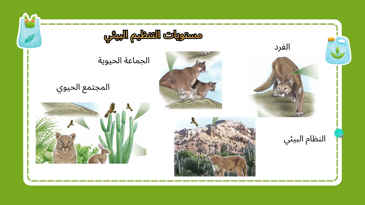 علوم / الصف السادس / الوحدة الاخامسة / الدرس الأول الأنظمة البيئية 1