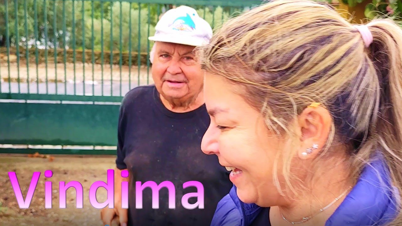 NOSSA PRIMEIRA VINDIMA OU COLHEITA DAS UVAS EM NA NOSSA ALDEIA AGROBOM, BRAGANÇA 🇵🇹