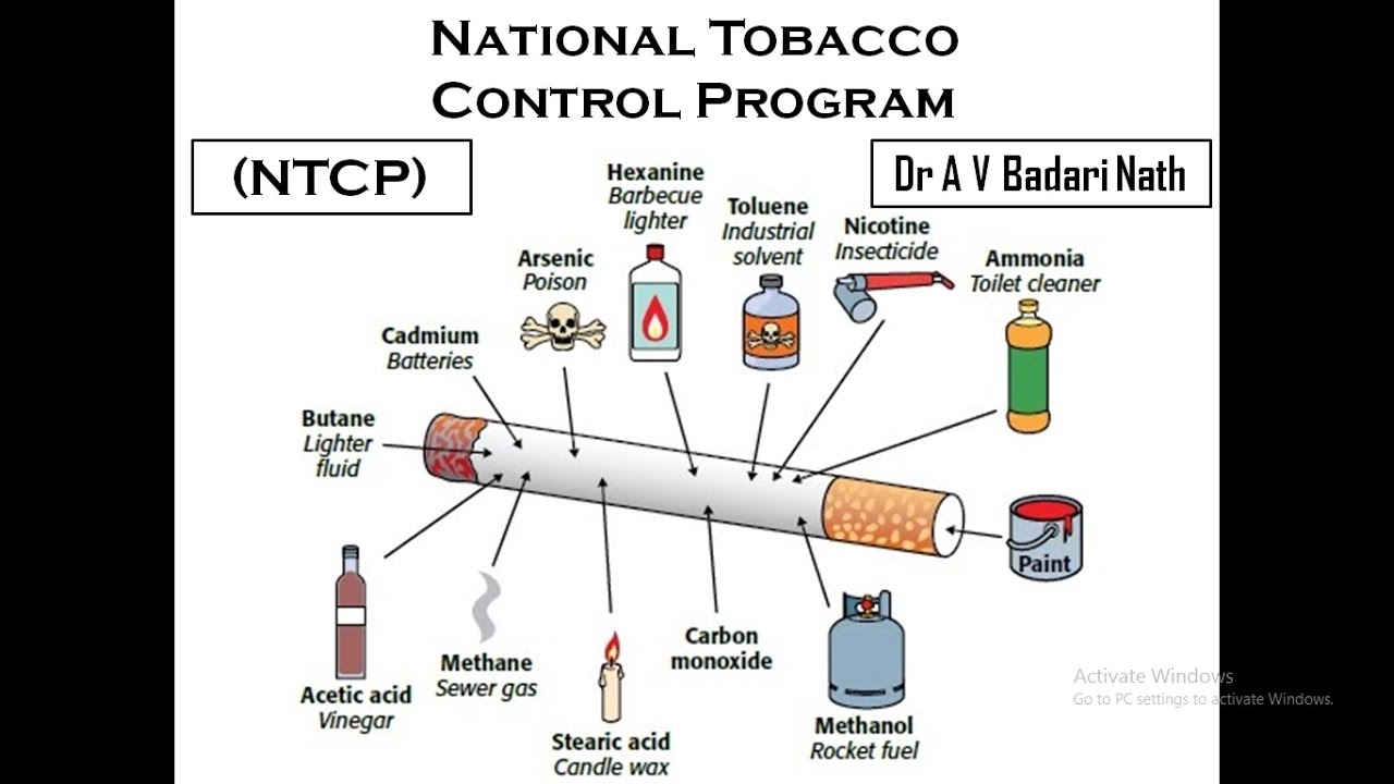 National Tobacco Control Program; NTCP