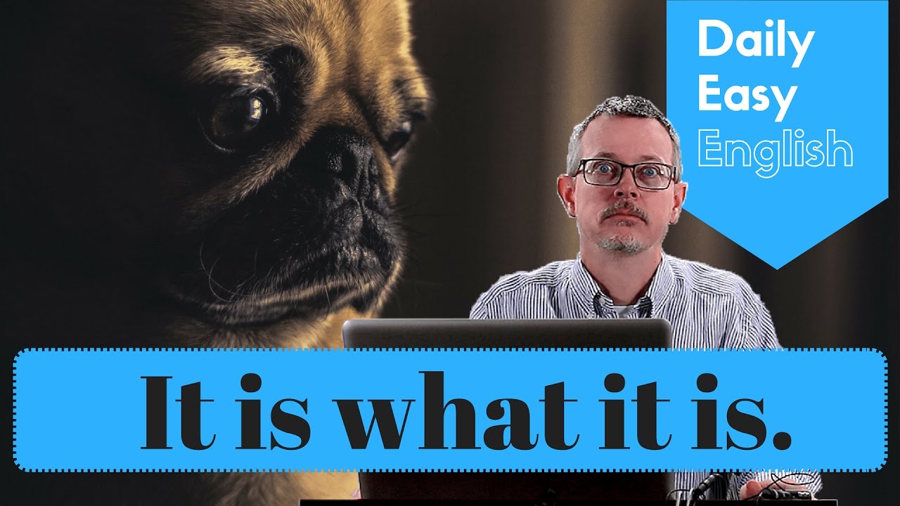 Learn English: Daily Easy English 1139: It is what it is.