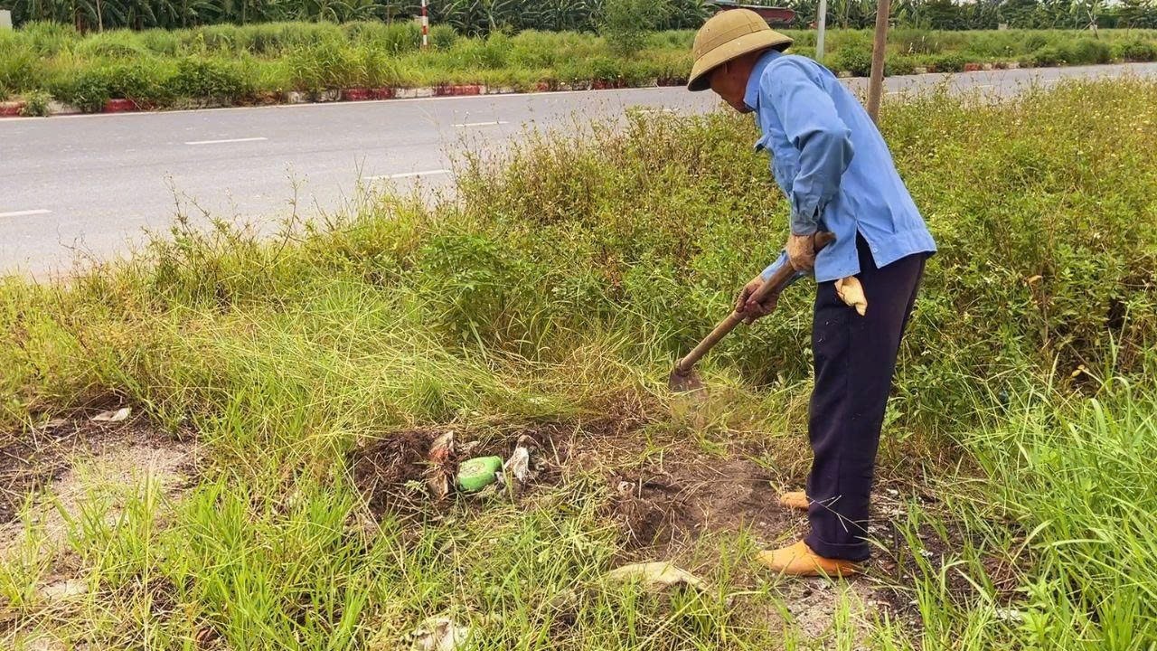 Cleaning the World's Scariest Sidewalks That Have Been Overrun by Weeds and Neglected for Years