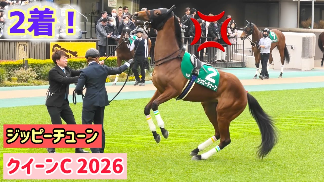 【クイーンC 2026】カメラが自分ではなくマルガに注がれてるのに激おこ💢なジッピーチューン  