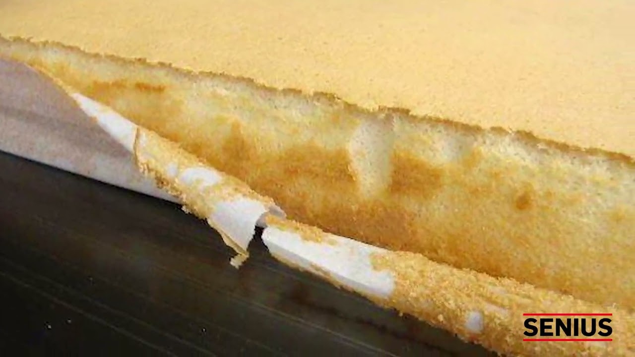 Sponge Cake in SENIUS Tunnel Ovens