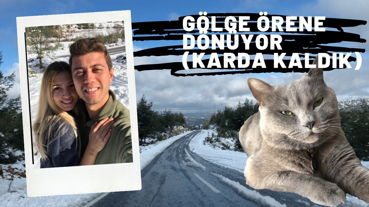 British Shorthair ile Yolculuk (Karda Kaldık)-[Journey with the British Shorthair-stuck in the snow]