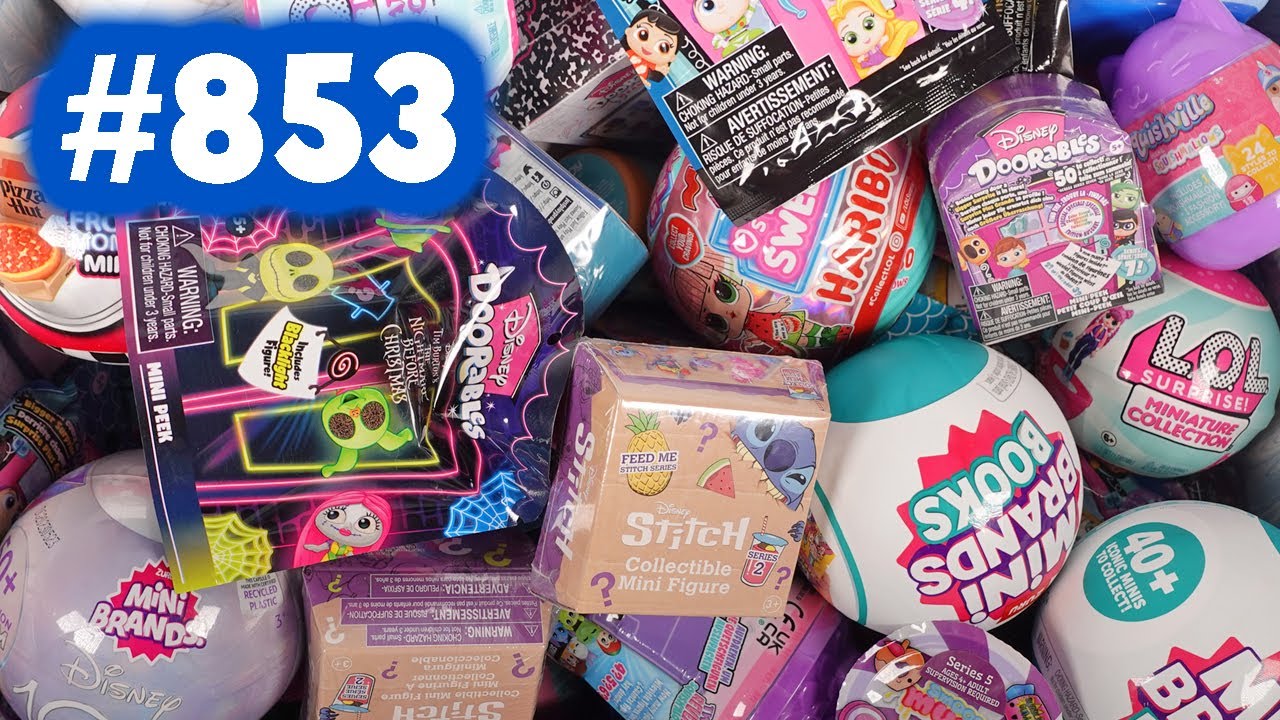 Random Blind Bag Box #853 - Doorables Let's Go, Toy Mini Brands, Squishmallows, Squeezamals
