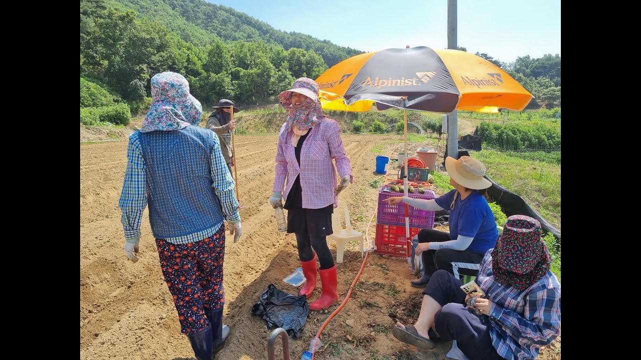 은곡리 초보 일꾼 소개